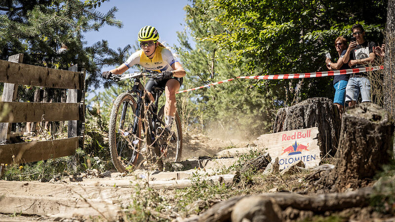 Slideshow Bild