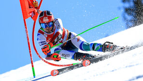 Ehemaliger Vize-Weltmeister beendet seine Ski-Karriere