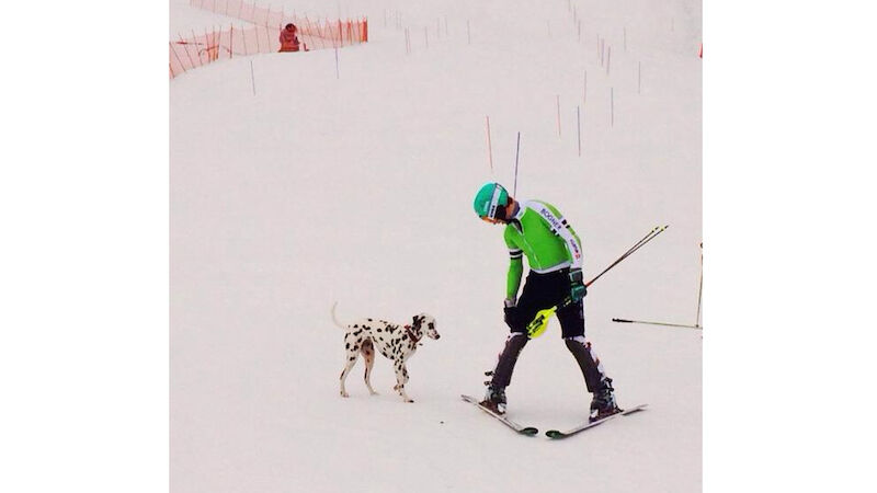 Slideshow Bild