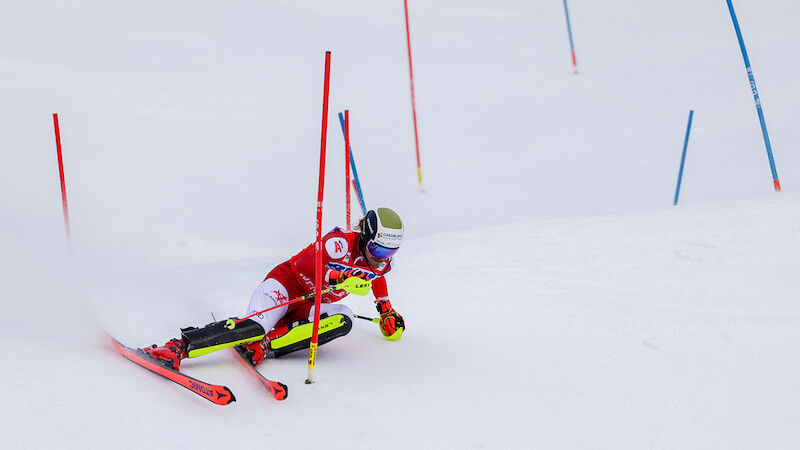 Slideshow Bild