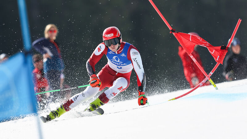 Dominik Raschner