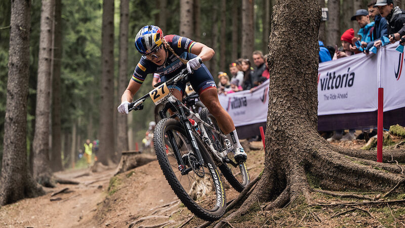Slideshow Bild
