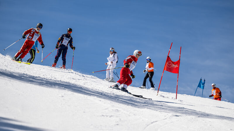 Slideshow Bild
