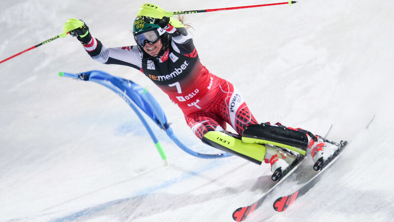 Slideshow Bild
