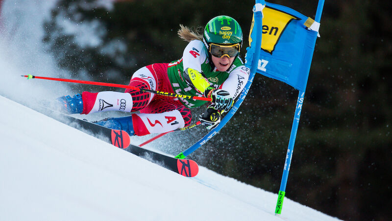 Slideshow Bild