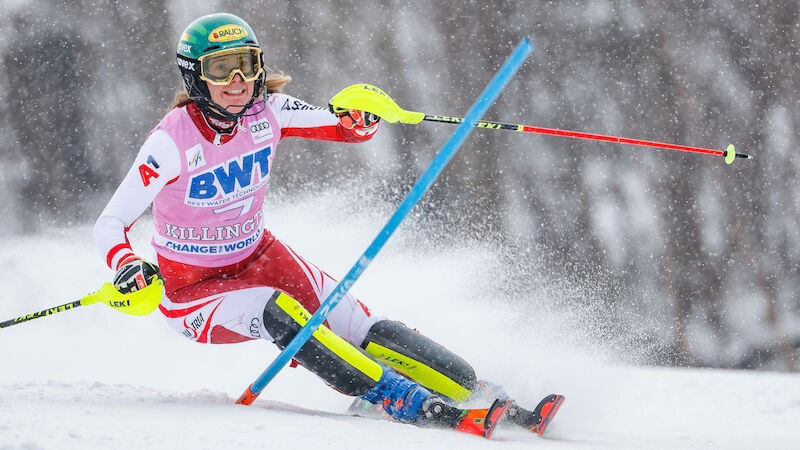 Slideshow Bild