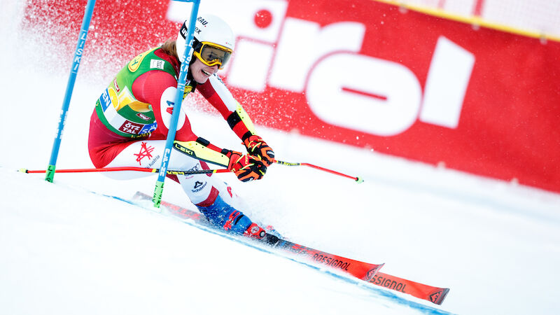 Slideshow Bild
