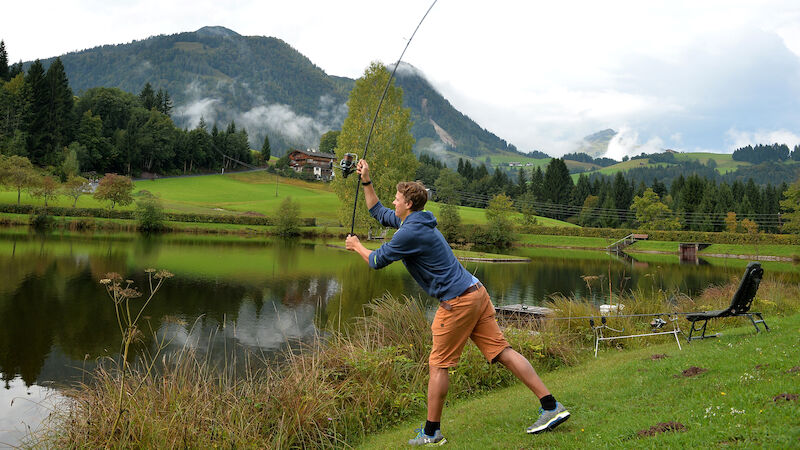 Slideshow Bild
