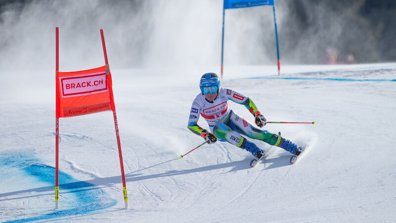Meta Hrovat