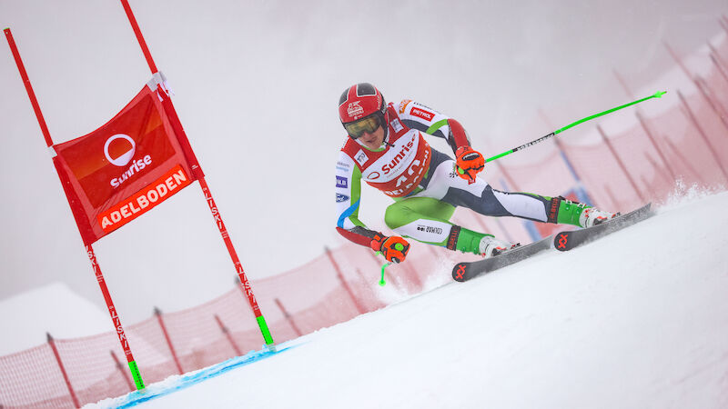 Stefan Hadalin