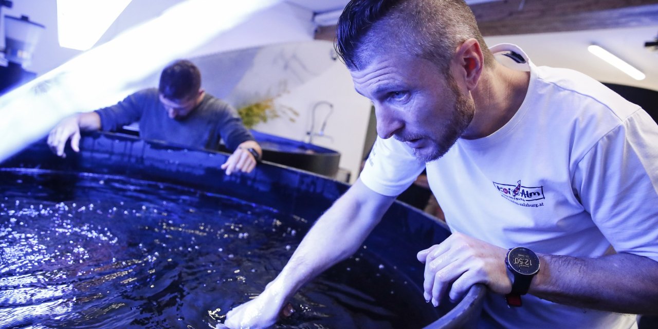 Hirscher holt Ex-ÖSV-Star als Markenbotschafter ins Boot