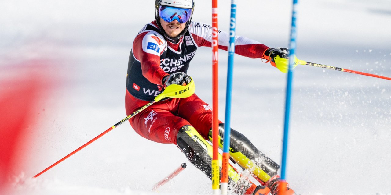 Hundertstelkrieg im Stangenwald