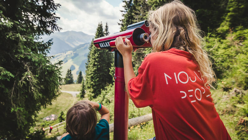 Heimat-Rundweg am Zwölferkogel
