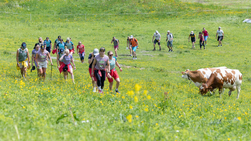 ÖSV-Stars besuchen Saalbach im Sommer - Bilder vom WM-Berg 2025