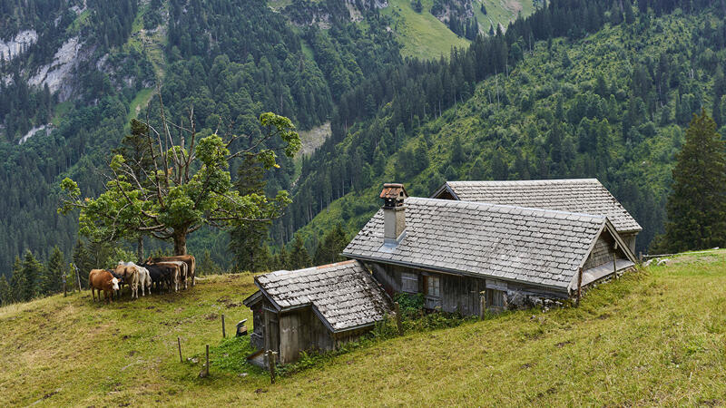 Vielfältige Tierwelt