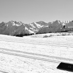 Tragödie in Norwegen: Langläuferin erleidet Herzstillstand