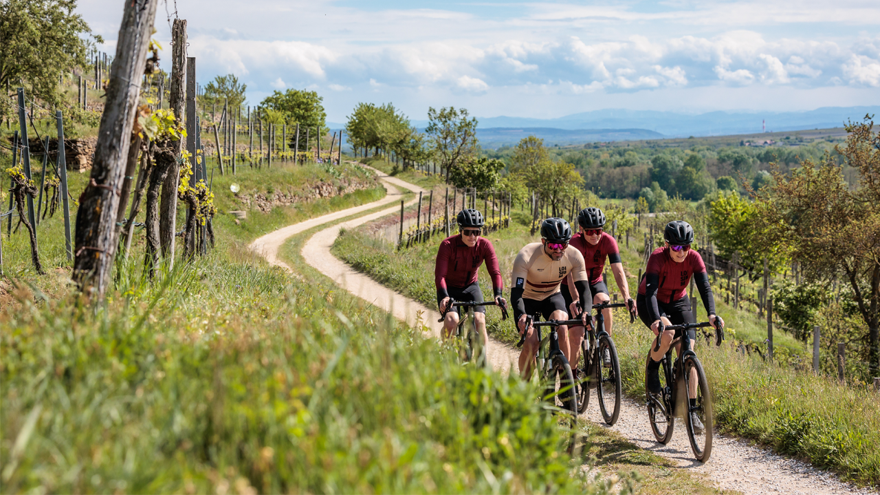 Entdecken Sie Österreichs schönste Weinregionen per Fahrrad