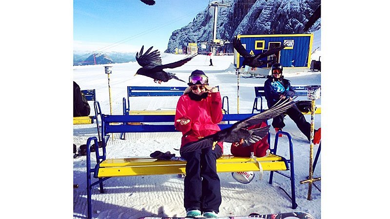 Anna Gasser Best of Bilder